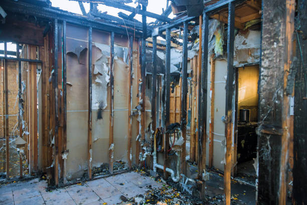 Professional Fire Damage Removal technician working in Park Hills, MO